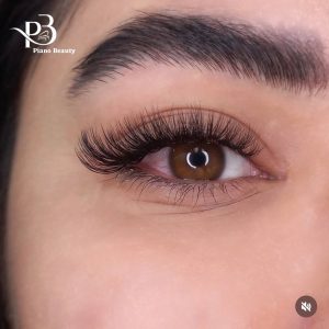 IMAGE 2025-02-22 19:45:04