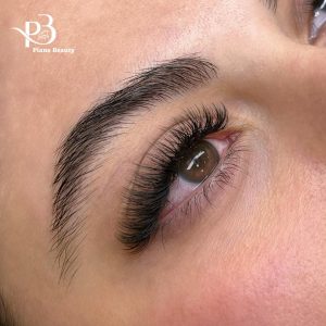 IMAGE 2025-02-27 17:25:43